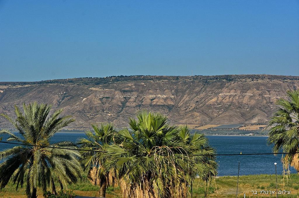 キネレット בקתה מקום טוב באמצעヴィラ エクステリア 写真